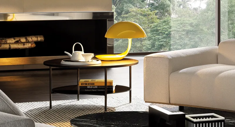 Minotti Lelong 23